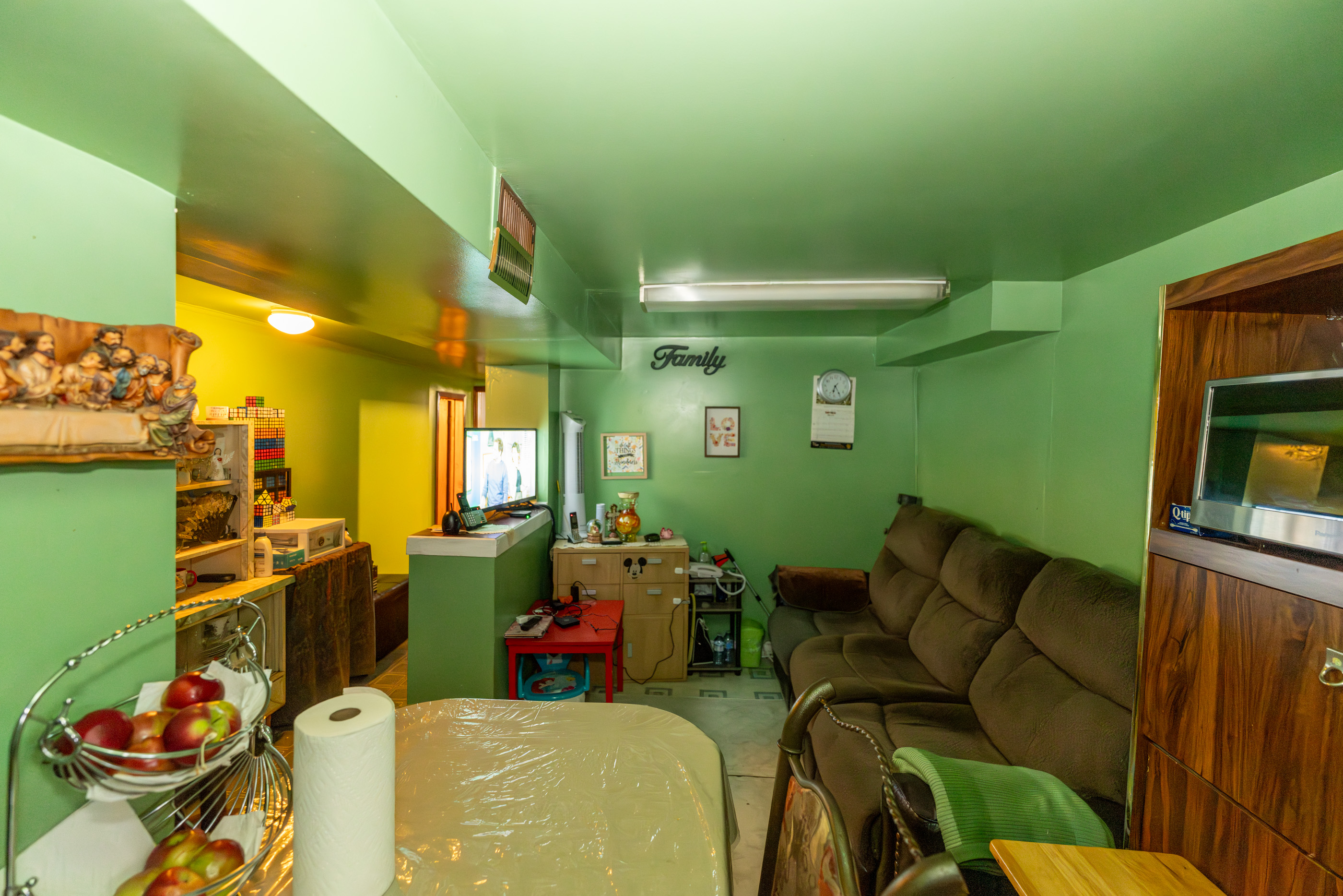 Basement Living Room